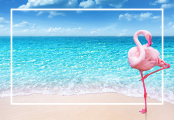 flamingo bird on sandy beach and soft blue ocean wave summer concept background