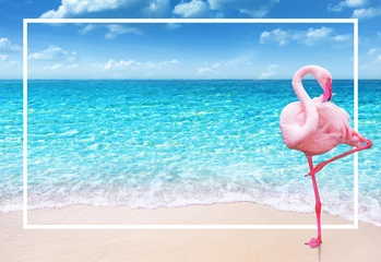 Gardinen Flamingovogel auf sandigem Strand und weichem blauem Ozeanwellensommerkonzepthintergrund © OHishi_Foto