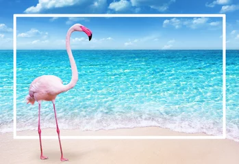 Gardinen Rosa Flamingo am Sandstrand und weichen blauen Ozeanwellensommerkonzepthintergrund © OHishi_Foto