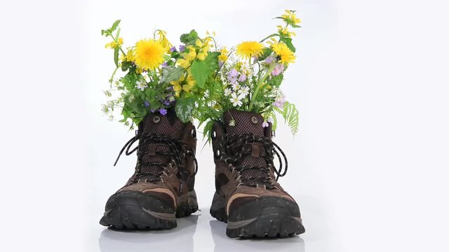 Hiking Shoes with Flowers on white Background
