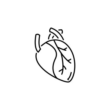 human organ heart outline icon. Signs and symbols can be used for web, logo, mobile app, UI, UX