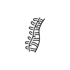 human organ spine outline icon. Signs and symbols can be used for web, logo, mobile app, UI, UX