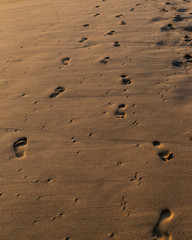 Footprints in the sand