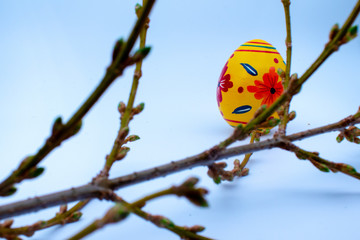 Colorful wooden easter eggs and chocolate with a touch of spring