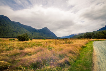 Naklejka na ściany i meble Valley on the South Island New Zealand