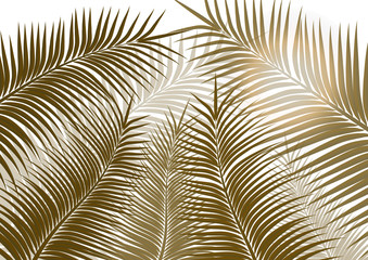 Tropical background. Realistic palm tree leaves. Exotic beauty for travel Design, promotion and marketing. Vector illustration - Vector graphics