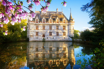 Fototapeta na wymiar Azay-le-Rideau castle, France