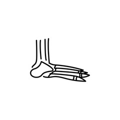 human organ foot bones outline icon. Signs and symbols can be used for web, logo, mobile app, UI, UX