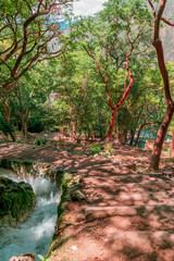 Stairs and running water