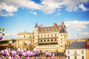 Fototapeta na wymiar Amboise castle, France