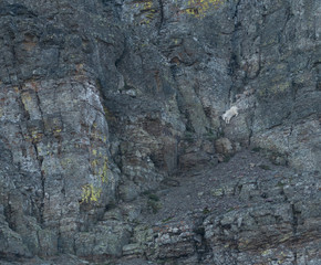 Mountain Goat Jumps Down Rock Face