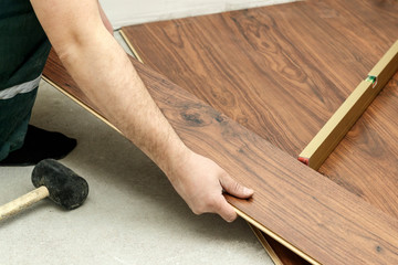 master in blue gloves makes laying. floorboard. there is a level. and rubber hammer.