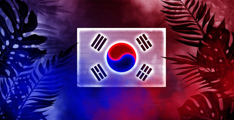 Neon Korea flag on old brick wall background. Neon multicolored light, tropical leaves, smoke. National day, festive background