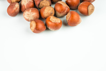 shelled hazel nuts