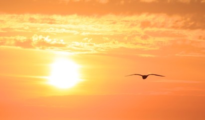 Sunset in Zeeland