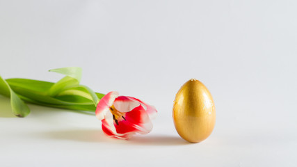 beautiful Easter card, background with flowers and Golden egg