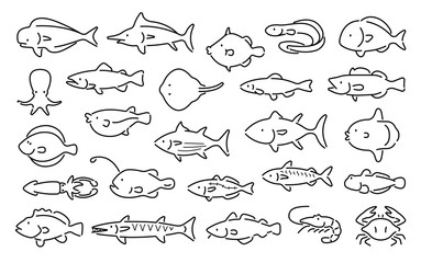 Saltwater fish vector set (Thin line , Outline style)