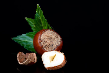 shelled hazel nuts