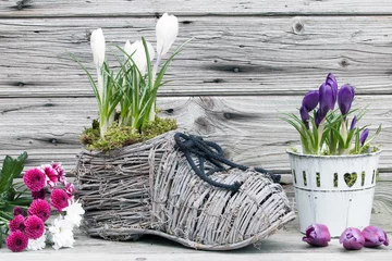 Möbelaufkleber Dekoration für den Frühling mit Krokusse rustikal vor Holt © Sabine Schönfeld