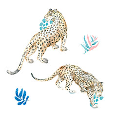 Tropical cute wild cats illustration background with palm trees, leopard, hibiscus. Isolated on white background. Exotic jungle leaves and cheetah