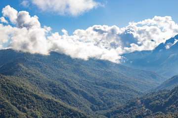 Mountain landscape. Caucasus summer day view forest