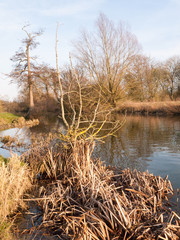 Beautiful countryside Dedham water scene outside nature landscape space