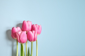 Bukiet różowych tulipanów - obrazy, fototapety, plakaty