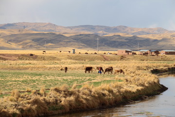 Fototapeta na wymiar Landschaft Hochebene Peru
