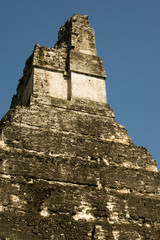 Tikal (Guatemala) temple  in the Jungle