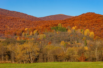 Bieszczady. Piękny krajobraz górski jesienią - obrazy, fototapety, plakaty
