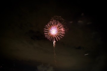 たまがわ花火大会