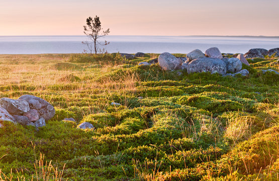 The ancient labyrinth on Zayatsky island in Karelia.