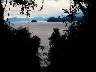 View on islands through tropical jungle - Angra dos Reis - Brasil 