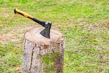  Ax is stuck in the tree stump on the background of green grass