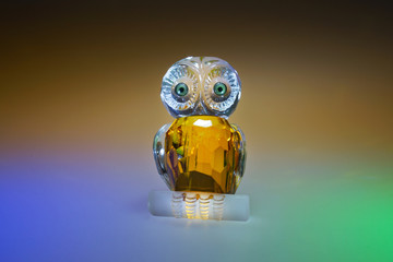 owl