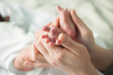 baby feet in mother's hands