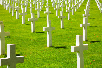 Many rows of crosses on the cemetery