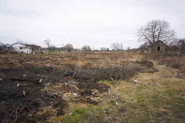 burnt grass in early spring in the countryside