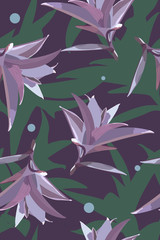Seamless pattern of tropical purple secretia plant