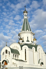 Fragment of the temple of the Saint blessed grand duke Alexander Nevsky in the sunny day. Kaliningrad