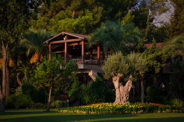 Wooden porch of a cottage in a green garden with flowers
