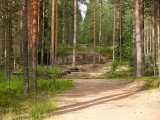Fragments of strengthenings of the line of Mannerheim in the natural boundary Pitkyakangas. Karelia