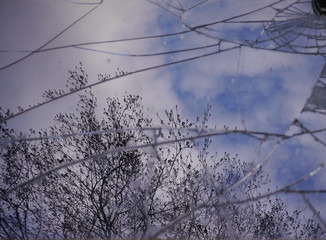 Reflections of the sky and bare trees in a broken mirror