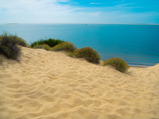 Beautiful Coast - Dune in front of sharp ocean horizon line