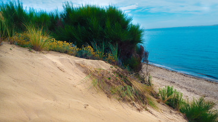 Beautiful Dune with background sea  - Beautiful France - Dune de Pilat 