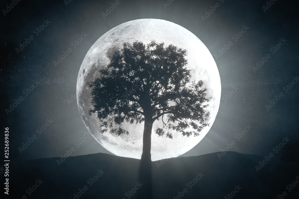 Wall mural 3d illustration of tree against the background of a full moon and a rotating universe around