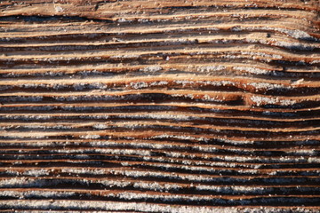 Wooden background.