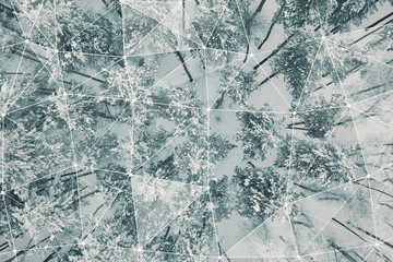 Aerial view Top Down Fly Over Shot of Winter Spruce and Pine Forest. Trees Covered with Snow, Rising Setting Sun Touches Tree Tops on a Beautiful Sunny Day.