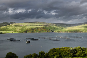 Salmon fish farm net pens on Loch Harport with evening sun on Beinn Dhubh from Portnalong Isle of...