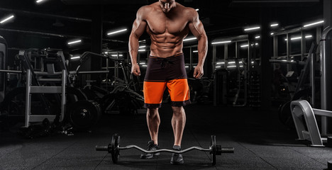 Naklejka na ściany i meble Attractive tall muscular bodybuilder doing heavy deadlifts in moder fitness center